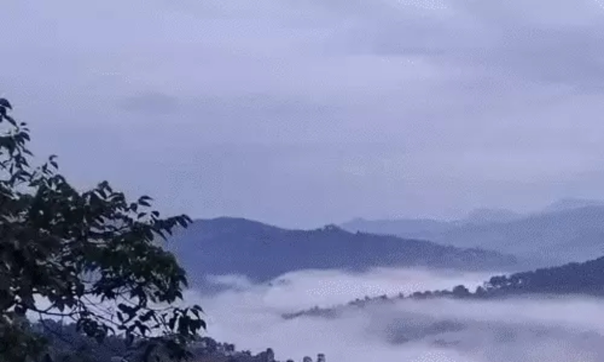 Havoc Wreaked by Storms and Lightning in UP and Bihar