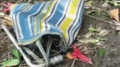 Security Forces Fired Upon in Sandeshkhali, 5 Injured; Bulldozer Deployed at TMC Office in Kolkata