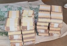 Police Raid at Hans Travels Office; ₹16 Lakh Recovered from Suspicious Parcel