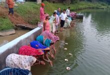 Mohla-Manpur-Ambagarh Chowki Emerges as a Model District Through the 'Mor Gaon–Mor Pani' Campaign
