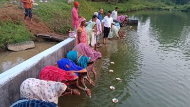 Mohla-Manpur-Ambagarh Chowki Emerges as a Model District Through the 'Mor Gaon–Mor Pani' Campaign