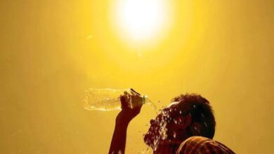 Weather to Change in Chhattisgarh: Dust Storms to Blow at 50 km/h