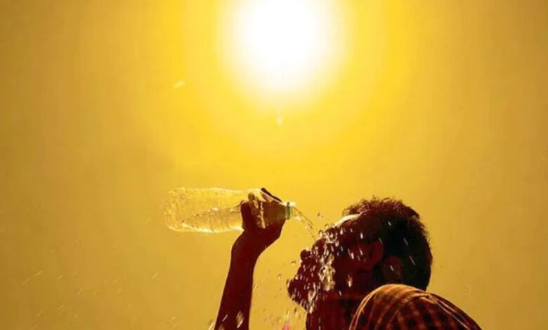 Weather to Change in Chhattisgarh: Dust Storms to Blow at 50 km/h