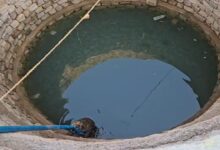 Leopard Falls into Well While Searching for Water: Clings to Pipe; Forest Department Launches Rescue Operation