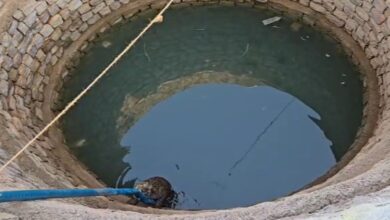 Leopard Falls into Well While Searching for Water: Clings to Pipe; Forest Department Launches Rescue Operation