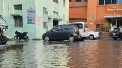 9 Dead in Bihar Due to Storms and Lightning; Rain Alert Issued for 6 States