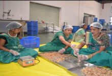 Chhattisgarh's 'Green Gold' Becomes the Strength of the Rural Economy