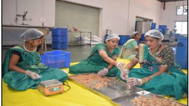 Chhattisgarh's 'Green Gold' Becomes the Strength of the Rural Economy
