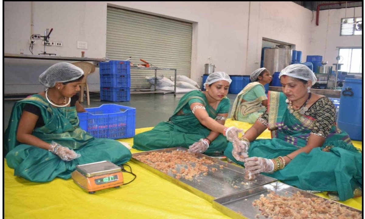 Chhattisgarh's 'Green Gold' Becomes the Strength of the Rural Economy