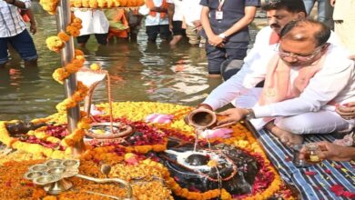 Chief Minister Vishnudev Sai reached Jaleshwar Mahadev Dham