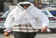 Barmer Hottest: Mercury Crosses 44°C in 9 Cities; Rain Alert Issued for Uttarakhand.