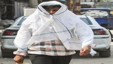 Barmer Hottest: Mercury Crosses 44°C in 9 Cities; Rain Alert Issued for Uttarakhand.