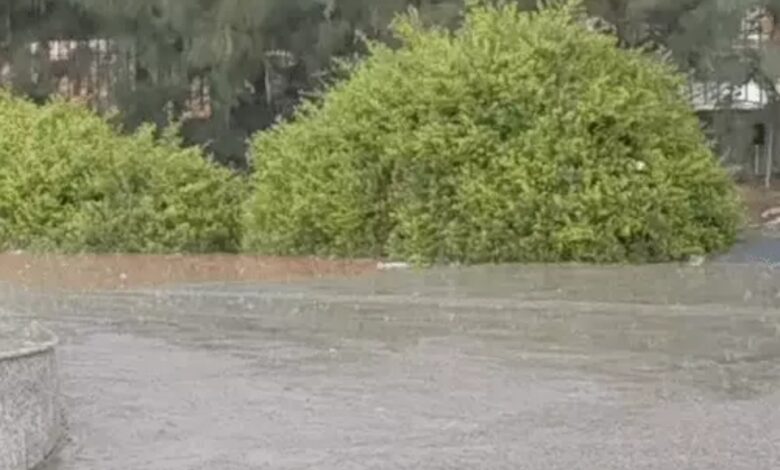 मानसून समय से पहले आने के संकेत, कई राज्यों में बारिश-आंधी का अलर्ट