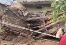 Weather to Change in Chhattisgarh Over the Next 4 Days; Alert Issued for Strong Winds and Lightning