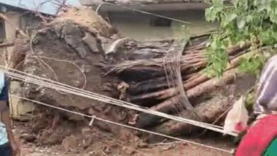 Weather to Change in Chhattisgarh Over the Next 4 Days; Alert Issued for Strong Winds and Lightning
