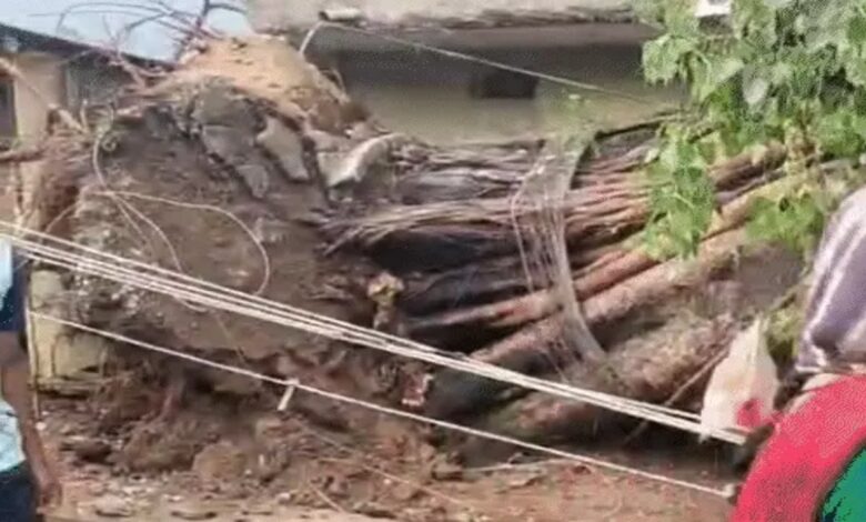 Weather to Change in Chhattisgarh Over the Next 4 Days; Alert Issued for Strong Winds and Lightning