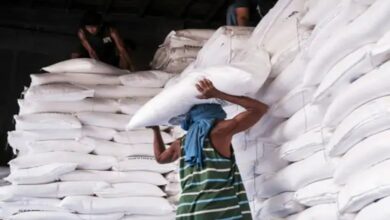 Decision taken to maintain domestic supply and keep prices in check; the ban will remain in force until September 30, 2026.
