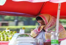 Monsoon to Arrive Early, but Threat of Drought Looms Due to Super El Niño