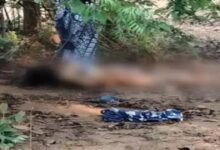 Murder of a Female Lawyer in Raigarh: Pressured to Marry, Lover Lures Her into Forest and Slits Her Throat