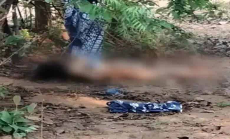 Murder of a Female Lawyer in Raigarh: Pressured to Marry, Lover Lures Her into Forest and Slits Her Throat