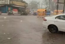 Alert for Storms and Rain in Chhattisgarh for Two Days; 20 Cattle Killed by Lightning