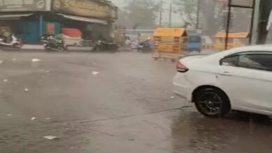 Alert for Storms and Rain in Chhattisgarh for Two Days; 20 Cattle Killed by Lightning