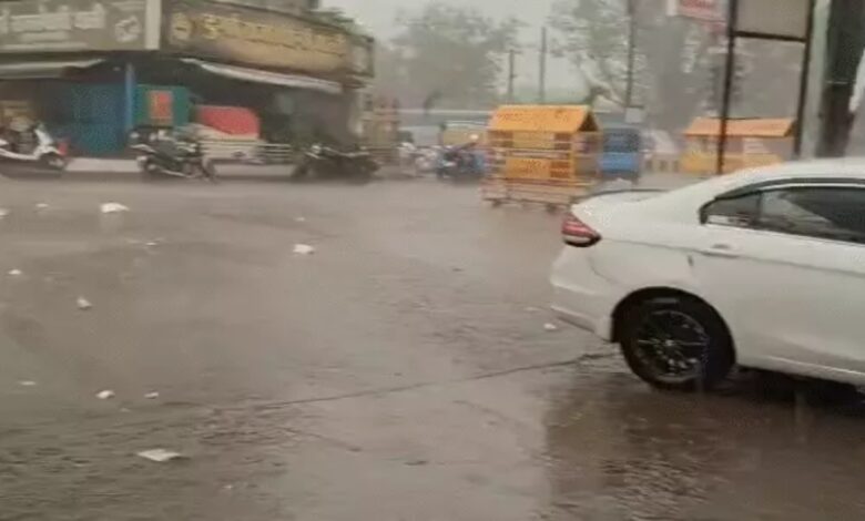 Alert for Storms and Rain in Chhattisgarh for Two Days; 20 Cattle Killed by Lightning