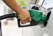 Ample Stock of Petrol and Diesel in Chhattisgarh: Government Says—No Need to Panic or Hoard