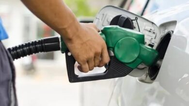 Ample Stock of Petrol and Diesel in Chhattisgarh: Government Says—No Need to Panic or Hoard