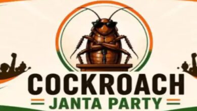 'Cockroach Janata Party' Takes Social Media by Storm; 19.3 Million Followers on Instagram