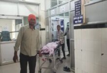 A 6th grader died after being bitten by a snake in Bari.