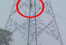 Husband Climbs Tower in Stubborn Bid to Keep Both Wives