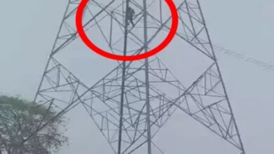 Husband Climbs Tower in Stubborn Bid to Keep Both Wives