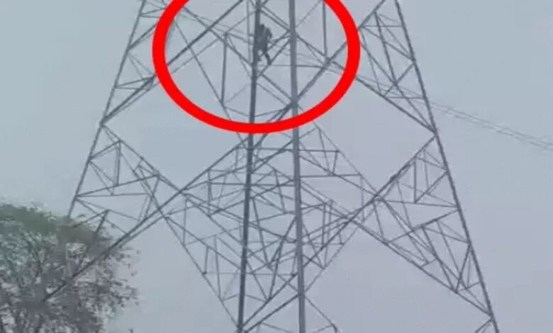 Husband Climbs Tower in Stubborn Bid to Keep Both Wives