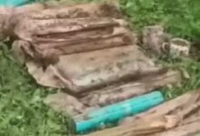 Terrorist Hideout Unearthed in Baramulla; Massive Cache of Ammunition Recovered