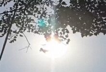 Scorching Heat Ravages Chhattisgarh; Rajnandgaon Hottest as Heatwave Alert Issued for 18 Districts