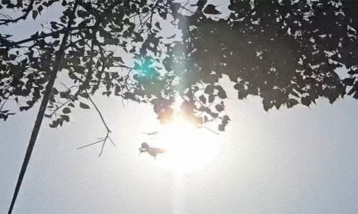 Scorching Heat Ravages Chhattisgarh; Rajnandgaon Hottest as Heatwave Alert Issued for 18 Districts