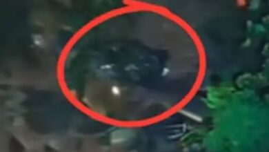 Tragic Accident in Raigarh: SUV Plunges into Gorge; 8 Dead