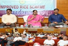'Improved Rice Scheme' to be Implemented in Chhattisgarh; Emphasis on Modernization of Rice Mills