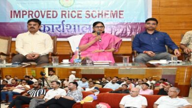 'Improved Rice Scheme' to be Implemented in Chhattisgarh; Emphasis on Modernization of Rice Mills
