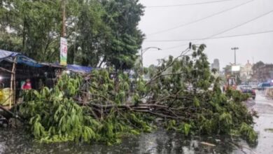 Havoc Wreaked by Storms and Rain in UP and Bihar