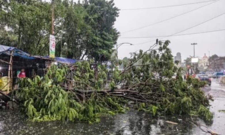 Havoc Wreaked by Storms and Rain in UP and Bihar