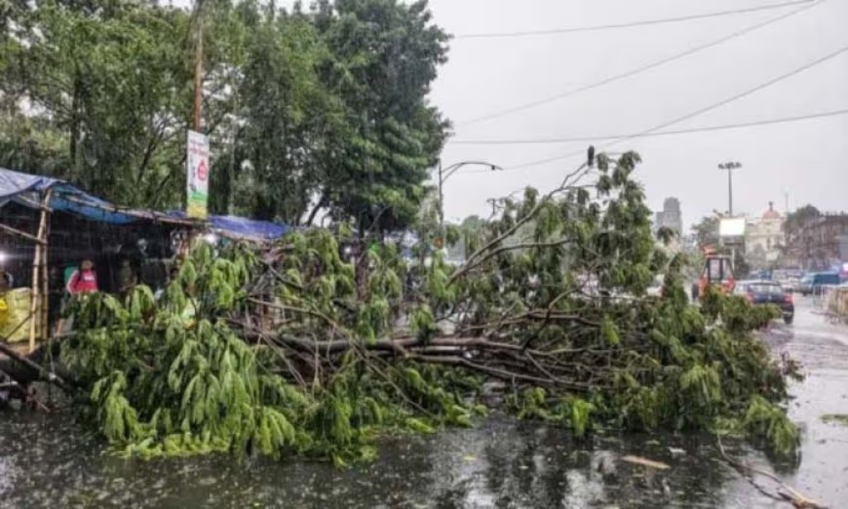 Havoc Wreaked by Storms and Rain in UP and Bihar
