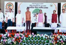 Journalists are true warriors of democracy; their role in guiding society is significant: CM Sai
