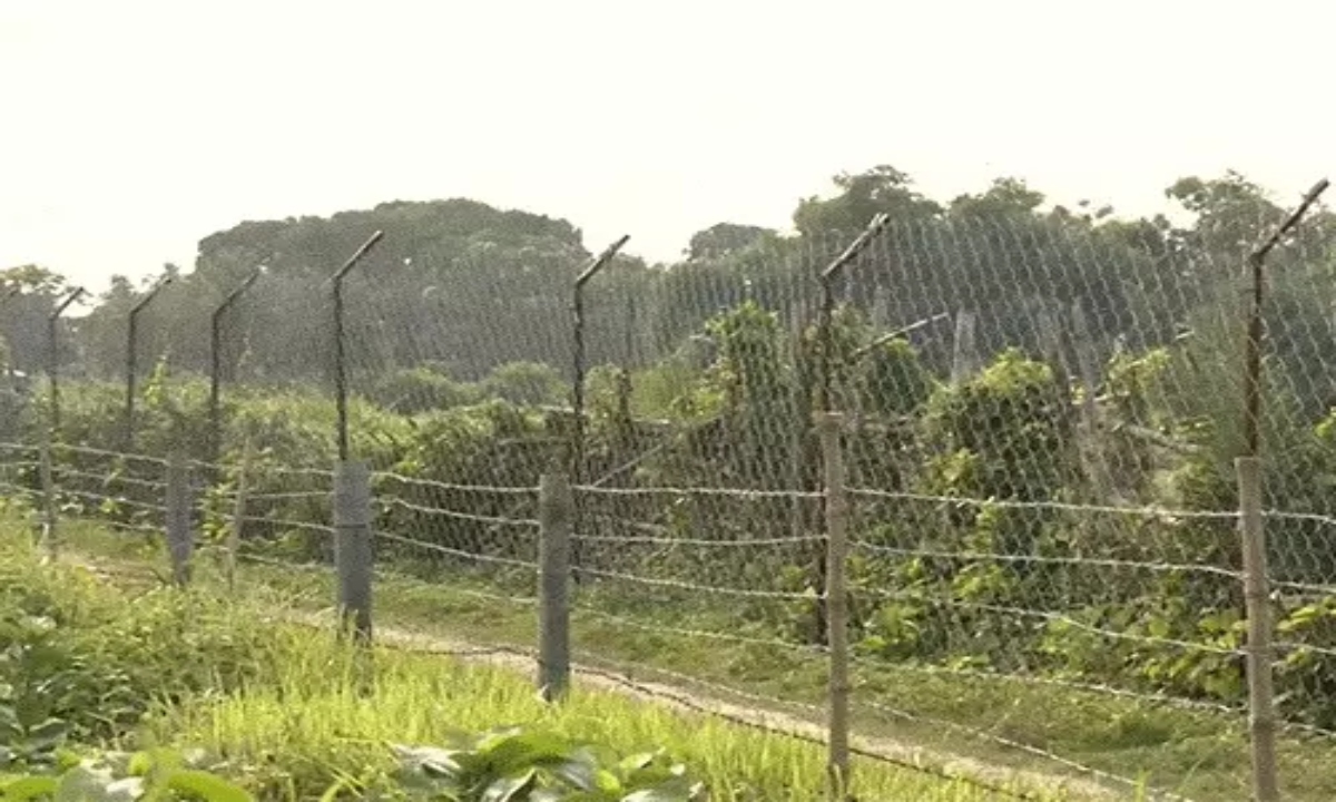 BSF Arrives in Bengal to Erect Border Fencing