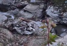 4 People from Chhattisgarh Die in Himachal Accident