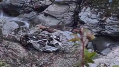 4 People from Chhattisgarh Die in Himachal Accident