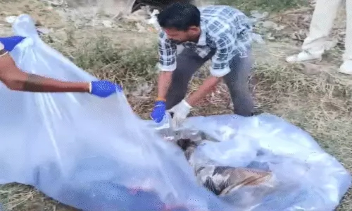 Young Man Murdered After Being Invited Home for Sex