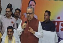 Assembly Speaker Raman Singh Lashes Out at Chaos in Bemetara, Reprimands Officials; Video Goes Viral