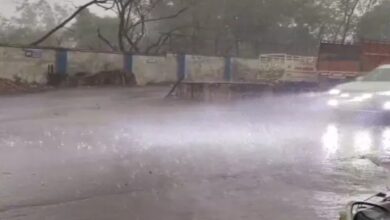 Lightning Strikes: Woman Dies